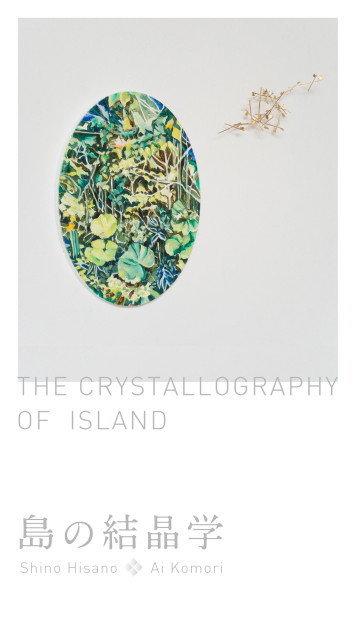 島の結晶学